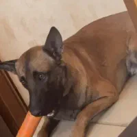 ۲۰میلیون مژدگانی