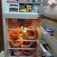 لوازم خانگی برقی یخچال و فریزر|یخچال و فریزر|صدرا-فارس, فاز ۱|دیوار