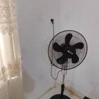 پنکه