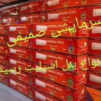 کولر گازی جنرال گلد|کولر گازی و فنکوئل|اسلامشهر, شهرک مهدیه|دیوار