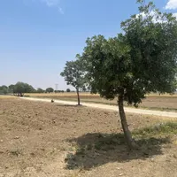 فروش زمین باغی بعد از اردوگاه امام خمینی|فروش زمین و ملک کلنگی|خمین, |دیوار