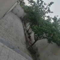 آپارتمان طبقه اول حیاط دار دربست پشت بام در اختیار|فروش آپارتمان|تربتحیدریه, آغوی|دیوار