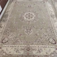 فرش۱۲متری|فرش|گرگان, |دیوار