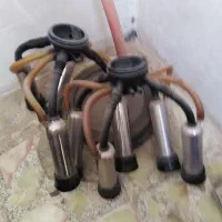 شیر دوش