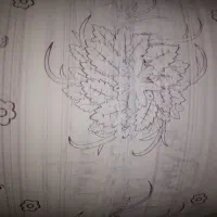 فروش سفره و موادیک بار مصرف