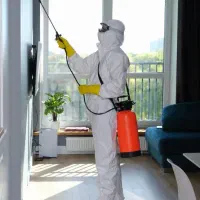 سمپاشی، سوسک، ساس، موش، کک