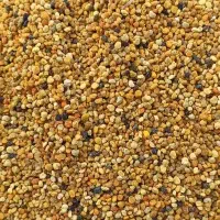 گرده گل ژل رویال عسل طبیعی شهد و موم دار