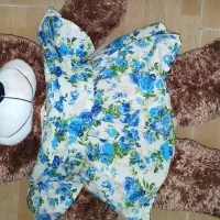 عروسک خرس|اسباب‌‌بازی|آستانه اشرفیه, |دیوار