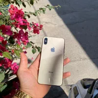 Xs max 256