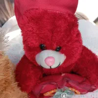 دوعدد عروسک در حد نو|اسباببازی|رشت, منظریه|دیوار