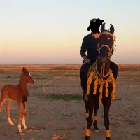 دشت عباس روستای فتح