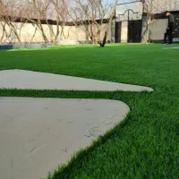 چمن مصنوعی ، فنس چمنی، برگی،خرید مستقیم از انبار