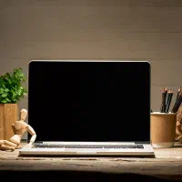 کار و پیشرفت (خانم ها)