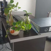 میز کارمندی