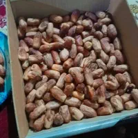 خرما درجه یک|عمده‌فروشی|سراوان, |دیوار