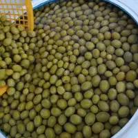 فروش زیتون مرغوب به صورت عمده