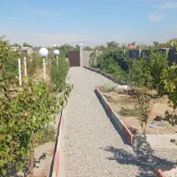 باغ-ویلا-باغستان-زیتون