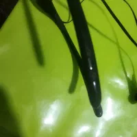 هنسفری گردنی|لوازم جانبی موبایل و تبلت|خرم‌آباد, |دیوار