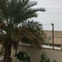 رهن ۲۳۰ متر دوبلکس ۳ خواب ویلایی|اجارهٔ خانه و ویلا|کهنوج, |دیوار
