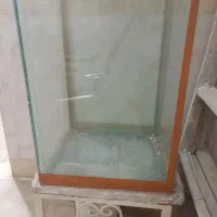 آکواریوم شیشه ۱۰ میل سالنی