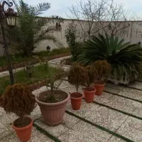 ویلا مجلل|فروش خانه و ویلا|زیباکنار, |دیوار