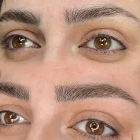 مدل رایگان فیبروز میکرو و شیدینگ