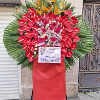 گل طبیعی تاج گل برای ختم ترحیم ،نمایشگاهی،عزا|گل و گیاه طبیعی|تهران, آهنگ|دیوار