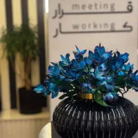 جذب باریستا در بهترین کافه اردکان