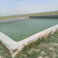 اجاره زمین کشاورزی|فروش دفتر صنعتی، کشاورزی، تجاری|همدان, |دیوار