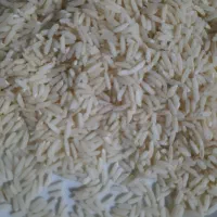 برنج هاشمی منطقه لاهیجان حسنعلیده