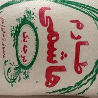 برنج مزارع سر سبز شمال