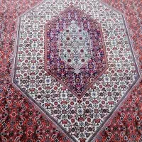فرش دستبافت افشار|فرش|تهران, بوستان ولایت|دیوار