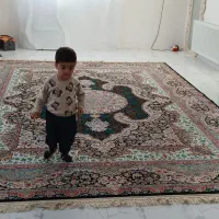 فرش 12متری سالم سالم