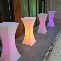 بادکنک ارایی گل ارایی اجاره میز صندلی|خدمات پذیرایی، مراسم|محمدشهر, همایون ویلا|دیوار