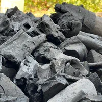 تولید و پخش ذغال کبابی و خودسوز