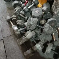 باشگاه بدنسازی