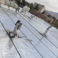 ایزوگام و قیرگونی محمدزاده با ضمانت نامه|خدمات پیشه و مهارت|بیرجند, |دیوار