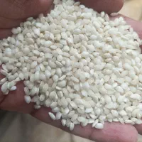 برنج گرده و نیم دانه .ورتکه