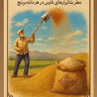 برنج اصل کامفیروزی به شرط پخت|خوردنی و آشامیدنی|صدرا-فارس, فاز ۲|دیوار