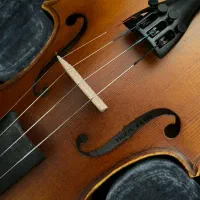 ویالن رناتو ۱۸۰ -۴/۴|ویولن|ری, ظهیرآباد|دیوار