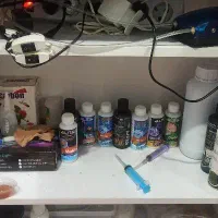 اکواریم پلنت|ماهی|دزفول, |دیوار