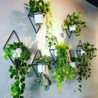 استند فرفوژه گل