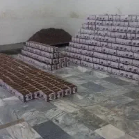 خرما کبکاب بوشهر|عمده‌فروشی|اردبیل, |دیوار