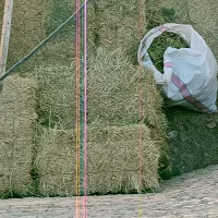 پرس یونچه