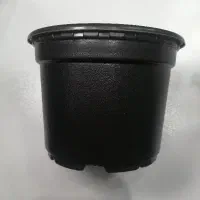 تعداد زیادی گلدان مناسب گلخانه و نهال و...