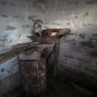 بوقلمون کرک کرده