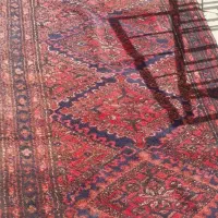 فروش فرش دستباف خرسک|فرش|تهران, زرکش|دیوار