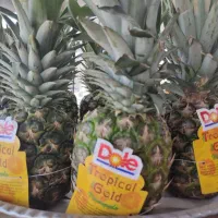 نیازمند فروشنده مغازه میوه فروشی