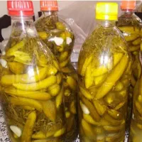 بطری خیارشور