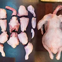 سوپر پروتئین کوپائی